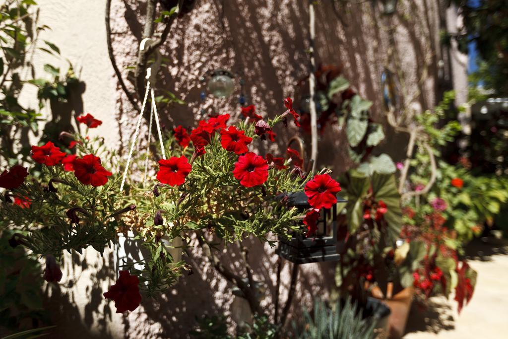 Casa Antica Apartment Rhodes City Exterior photo